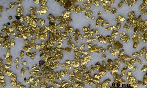 10. Ruatapu_Saw_Mill_Mine_Gold. B_Scope (6)